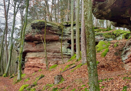 IMG 20190118 103527935 HDR